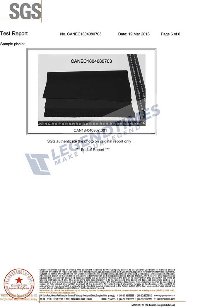 SGS-US California Proposition 65 Page6.jpg