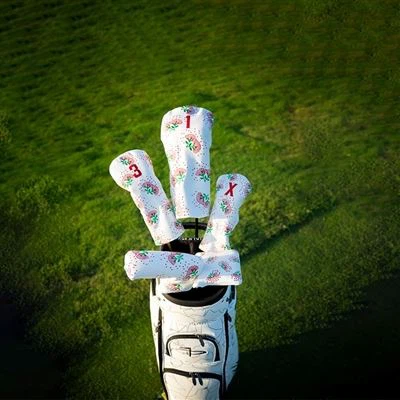 Hogyan szervezzünk Golf Bag klubokat?